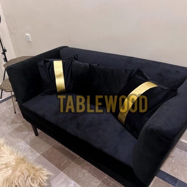 2 Seater luxury Comfortable Sofa with 2 Free Cusions